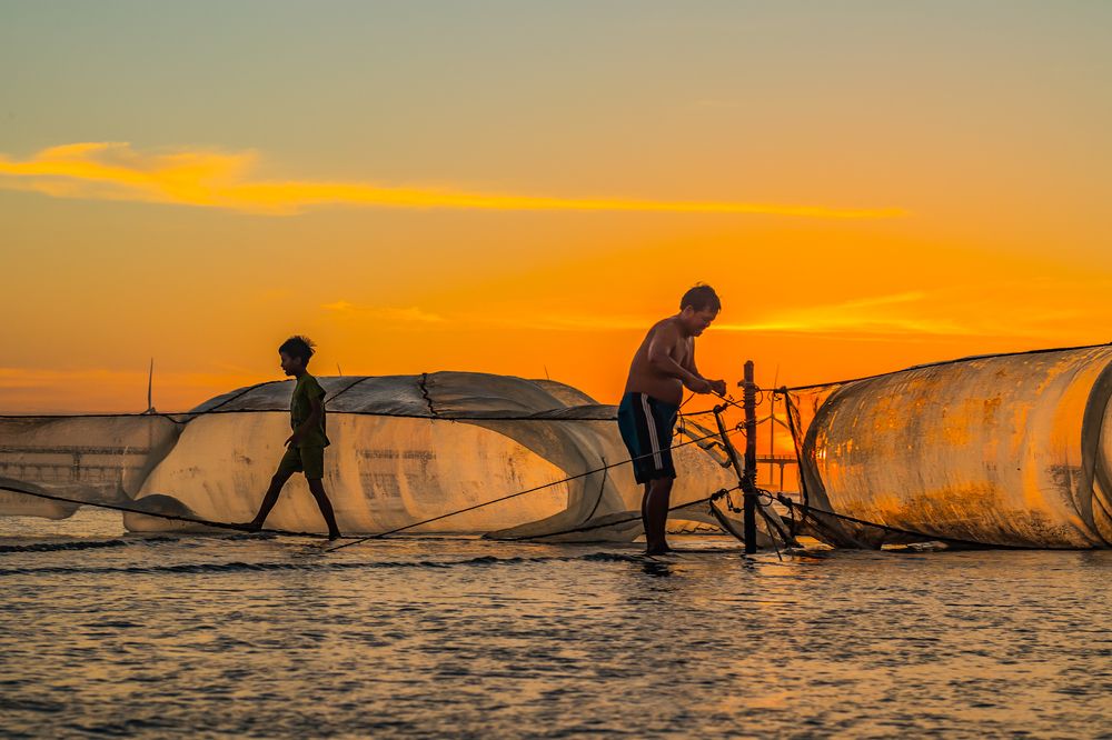Photograph by Hưng Nguyễn Hải