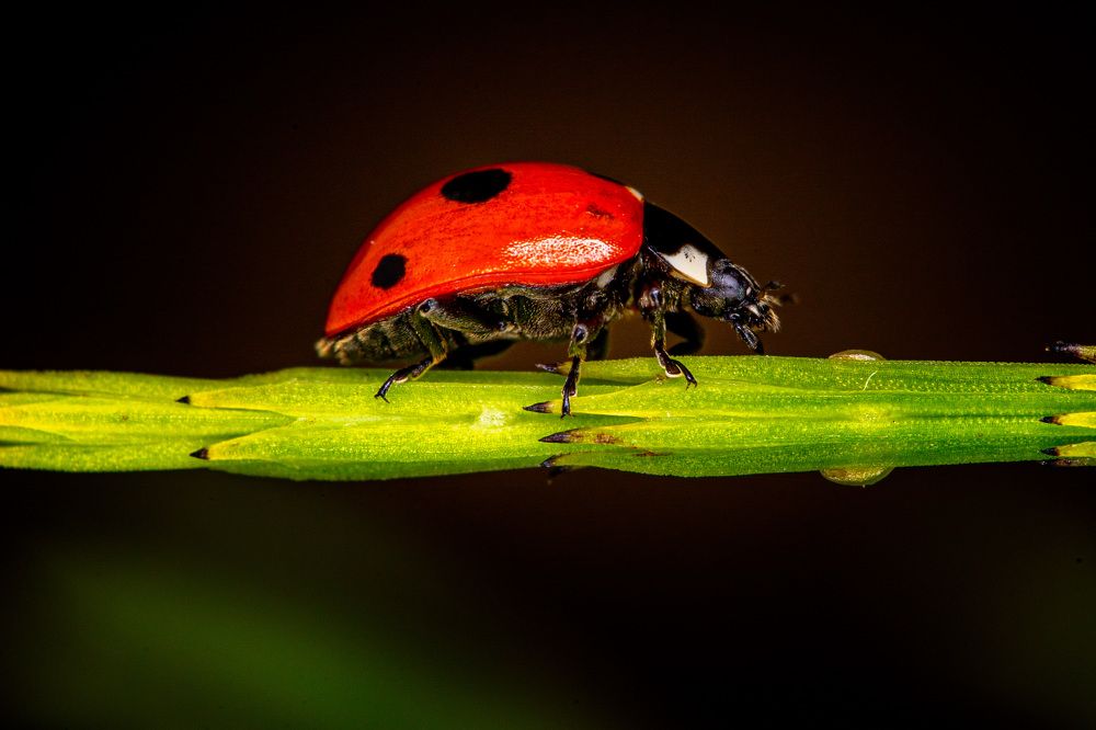 Photograph by Александр Балберов