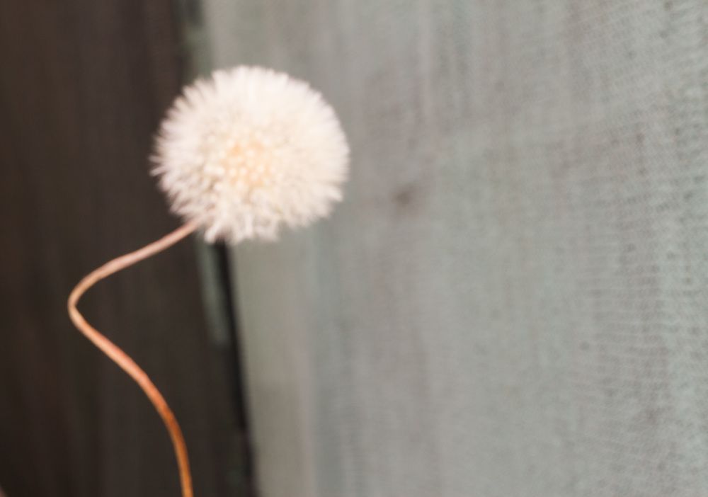 Фотография автора Мария Креймер