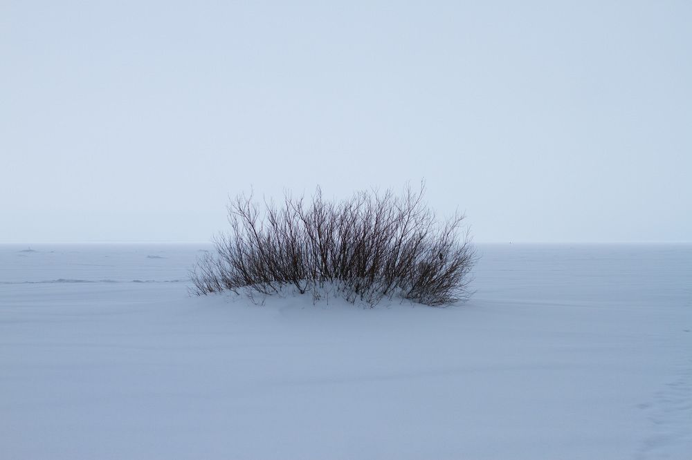 Фотография автора Мария Креймер