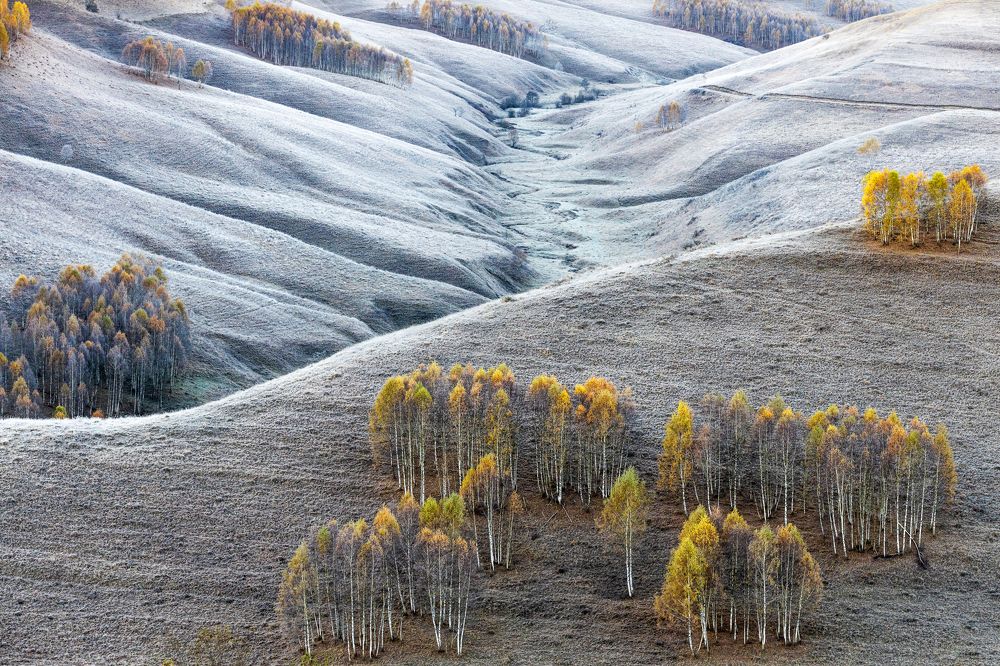 Фотография автора Marius Turc