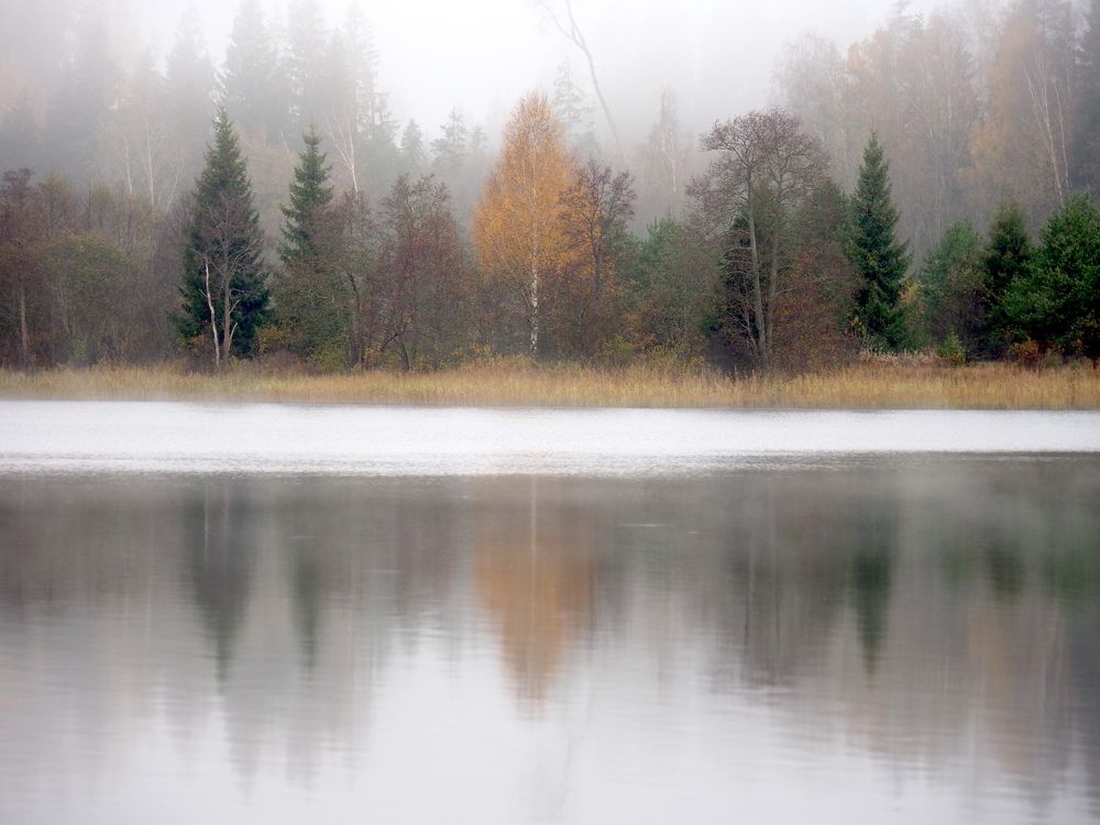 Photograph by Екатерина Шмелева