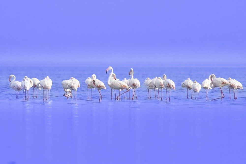 Photograph by Sugan Murali