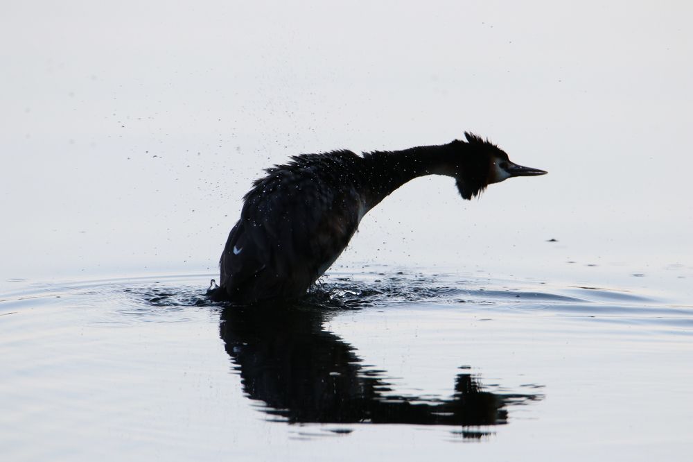 Photograph by Михаил Косяк