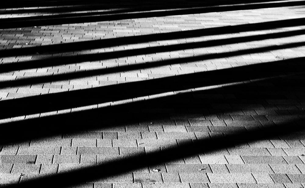 Путь в тени