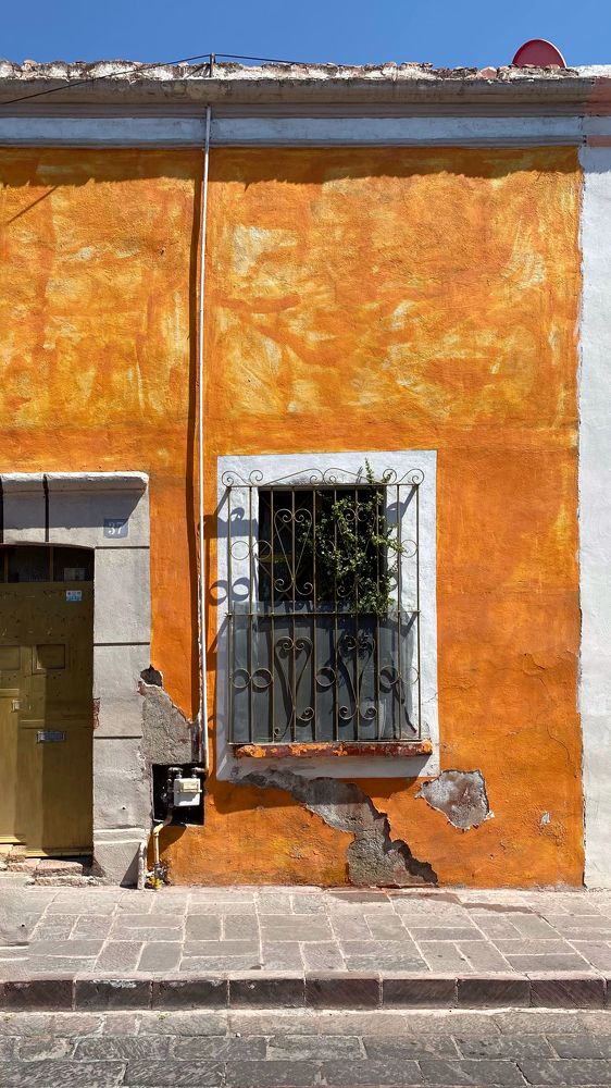 Photograph by Oxana Telupilova