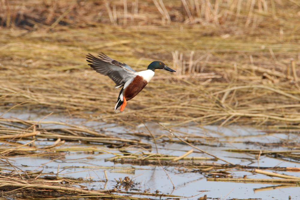 Photograph by Михаил Косяк