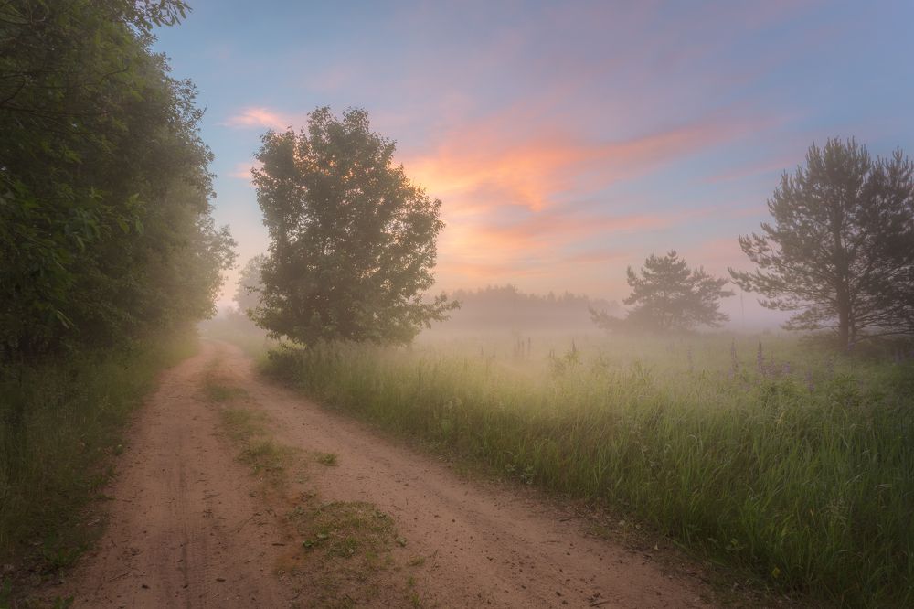 Photograph by Игорь Зайцев