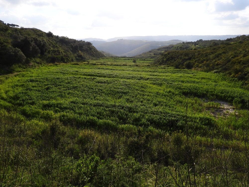 Фотография автора Fadi kassem