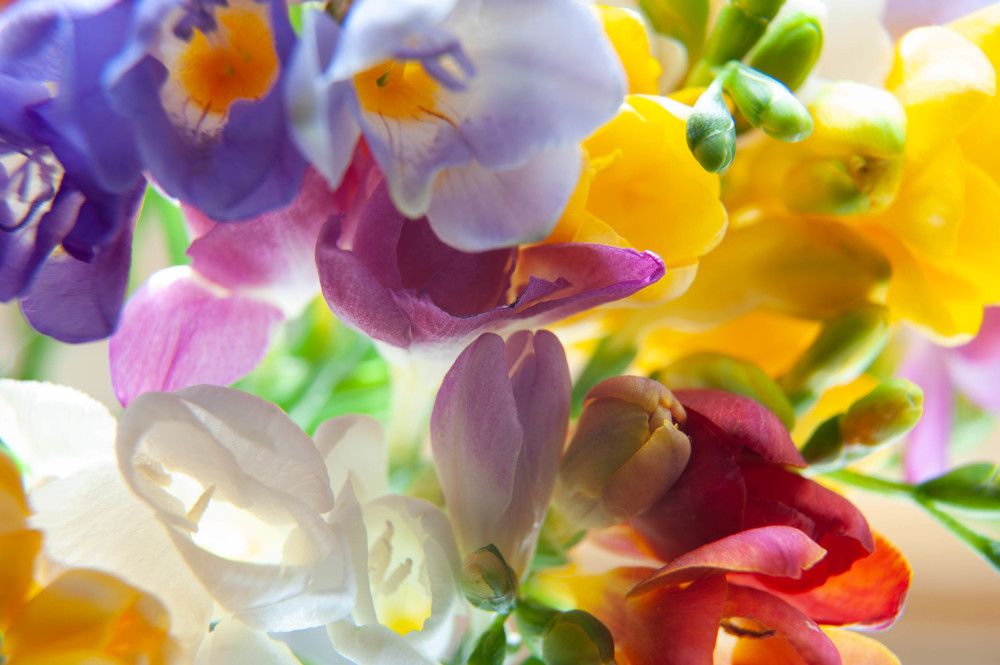 Photograph by Антон Кремер