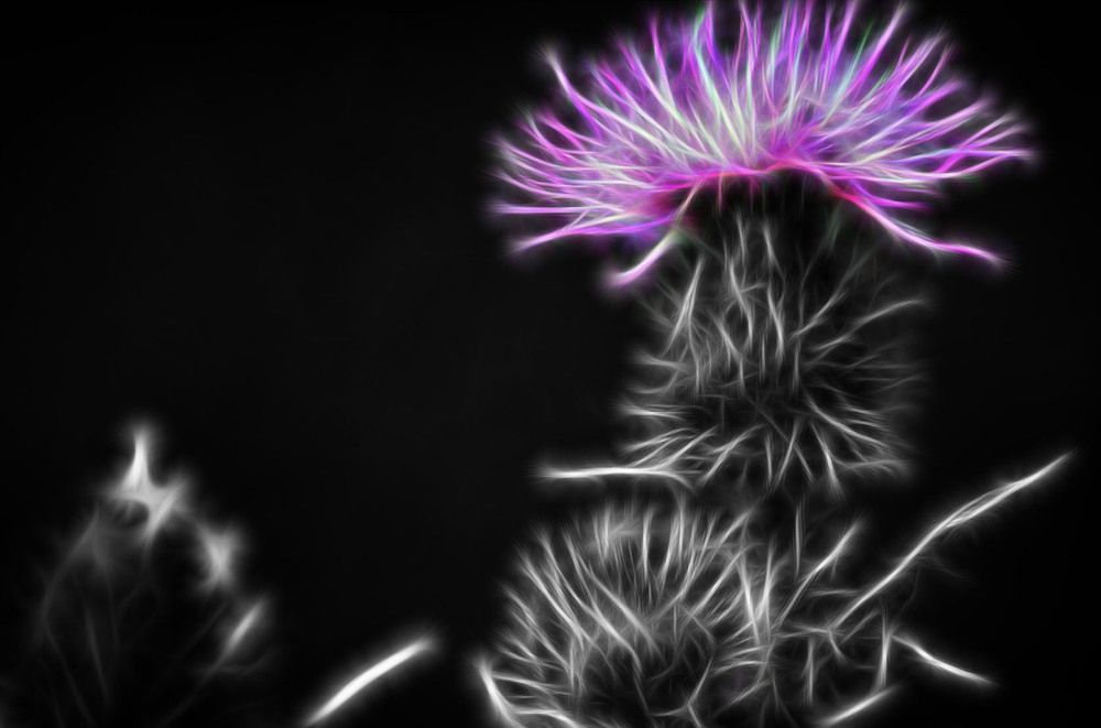 Photograph by Ирина Александрович