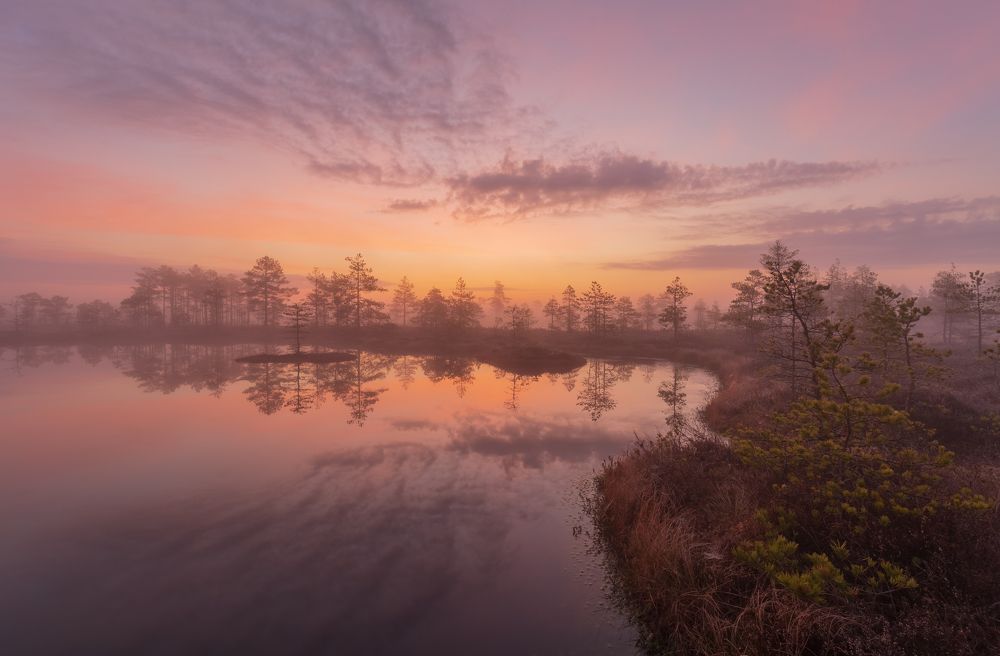 Photograph by Элвис Антсон