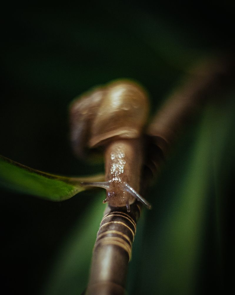 Photograph by Динара Зуйкова