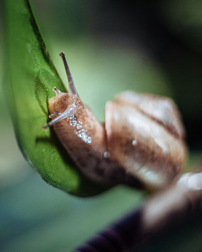 Photograph by Динара Зуйкова