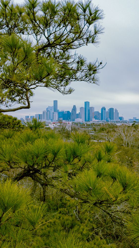 Houston from above