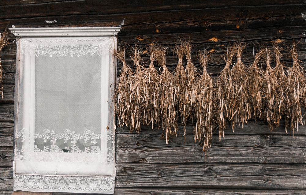 Фотография автора Ольга