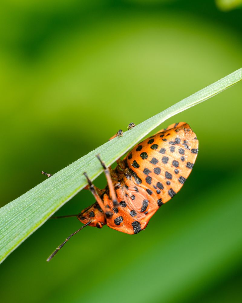 Photograph by Виталий Бодрягин