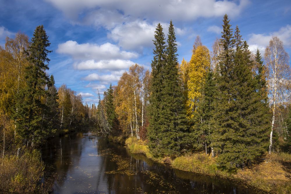 Photograph by Татьяна Борисова