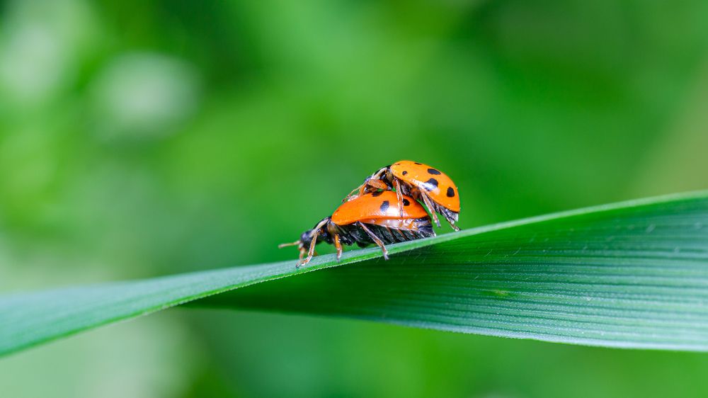 Photograph by Виталий Бодрягин