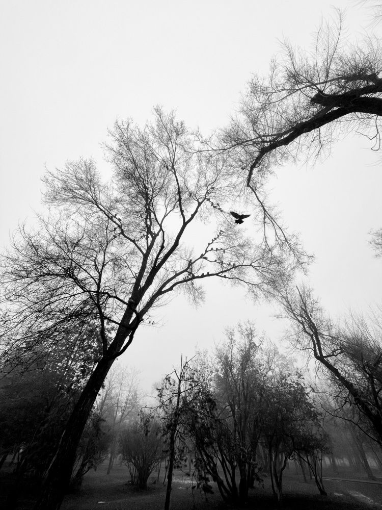 Фотография автора Максим Удалов