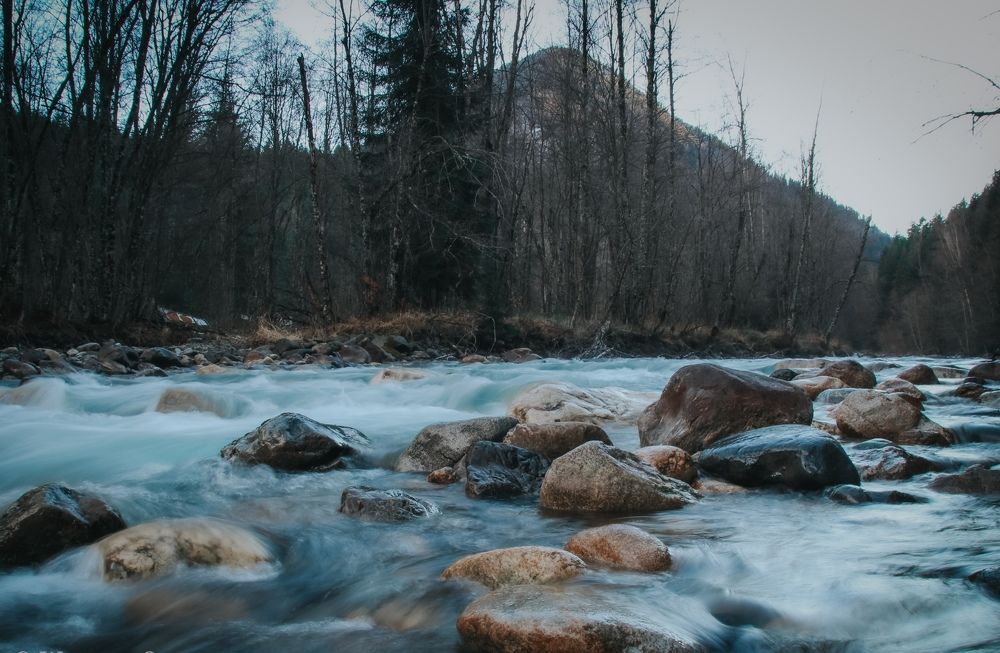 Фотография автора OXANA MARSOVA