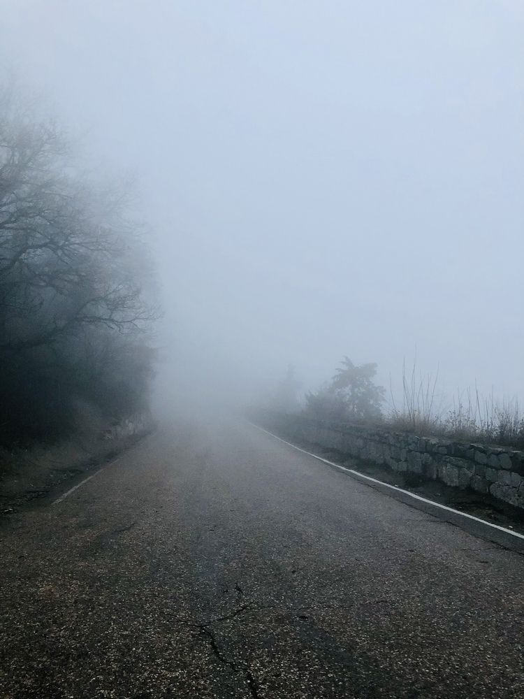 Photograph by Лариса Александрова