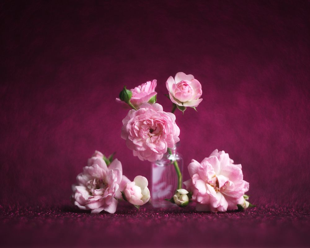 Photograph by Людмила Ефремова