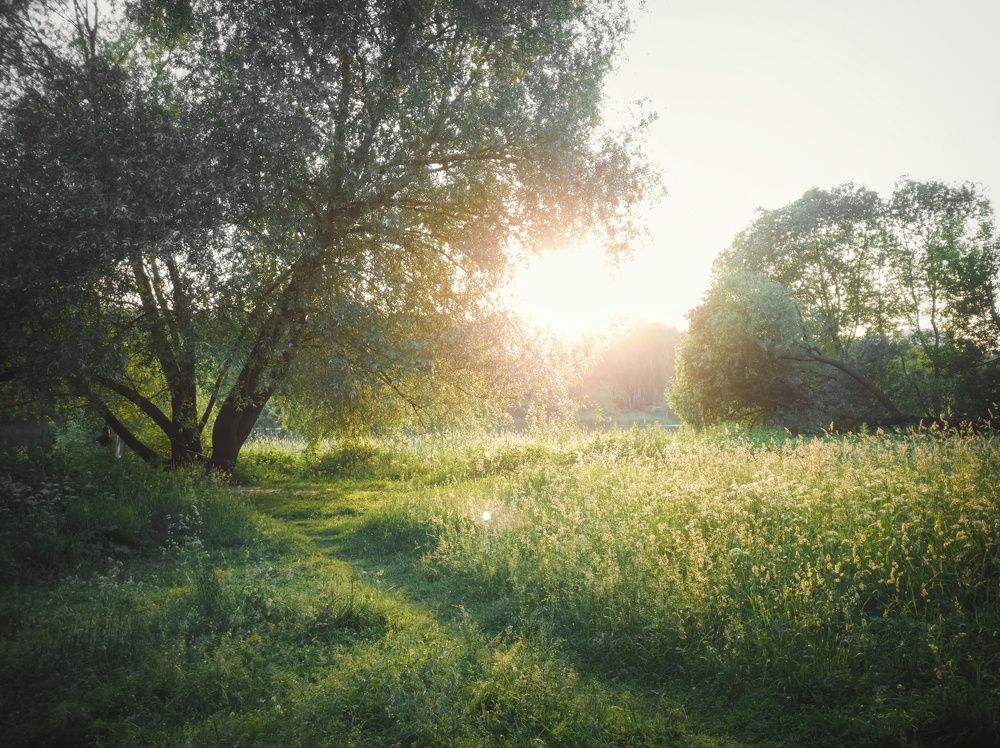 Photograph by Артур Арутюнов