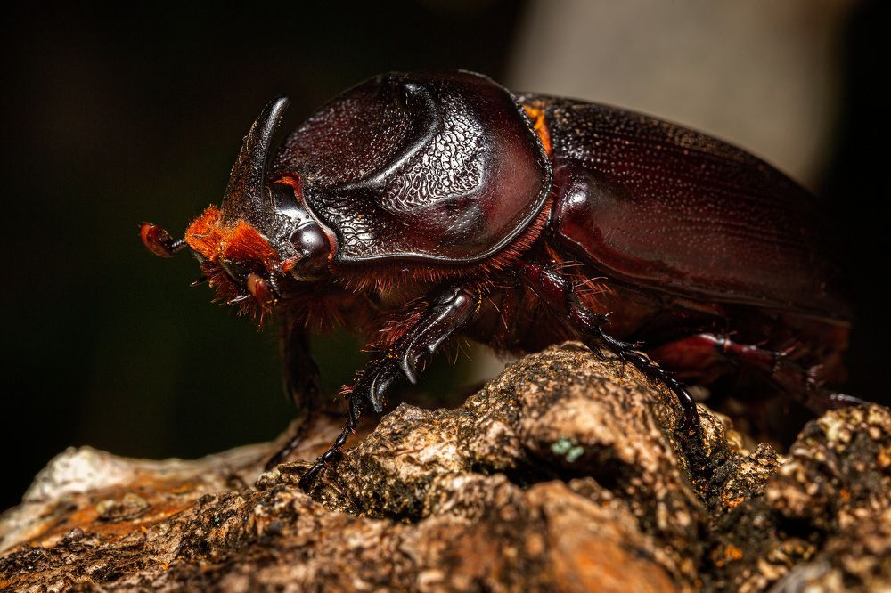 Photograph by Александр Балберов