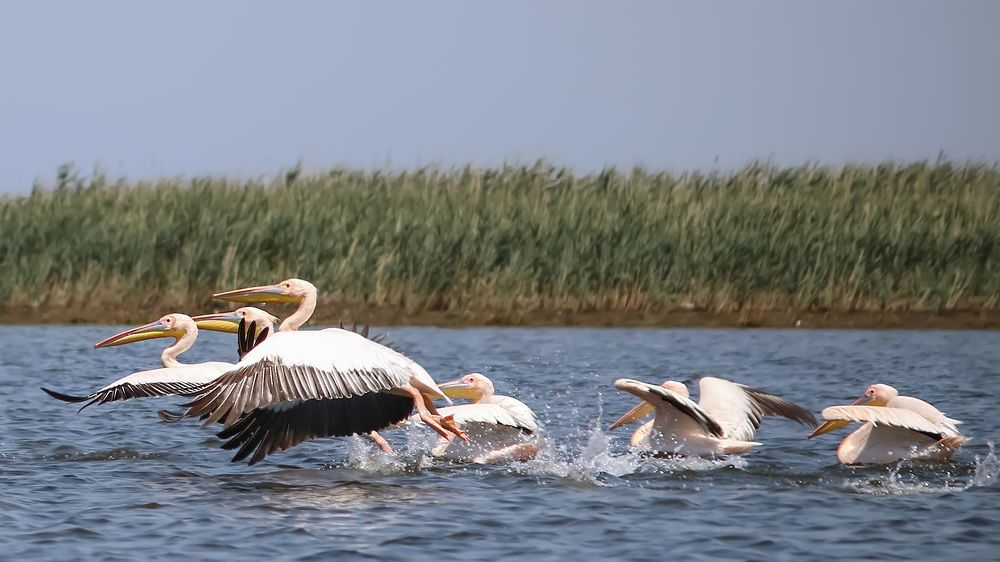 Photograph by Анжела