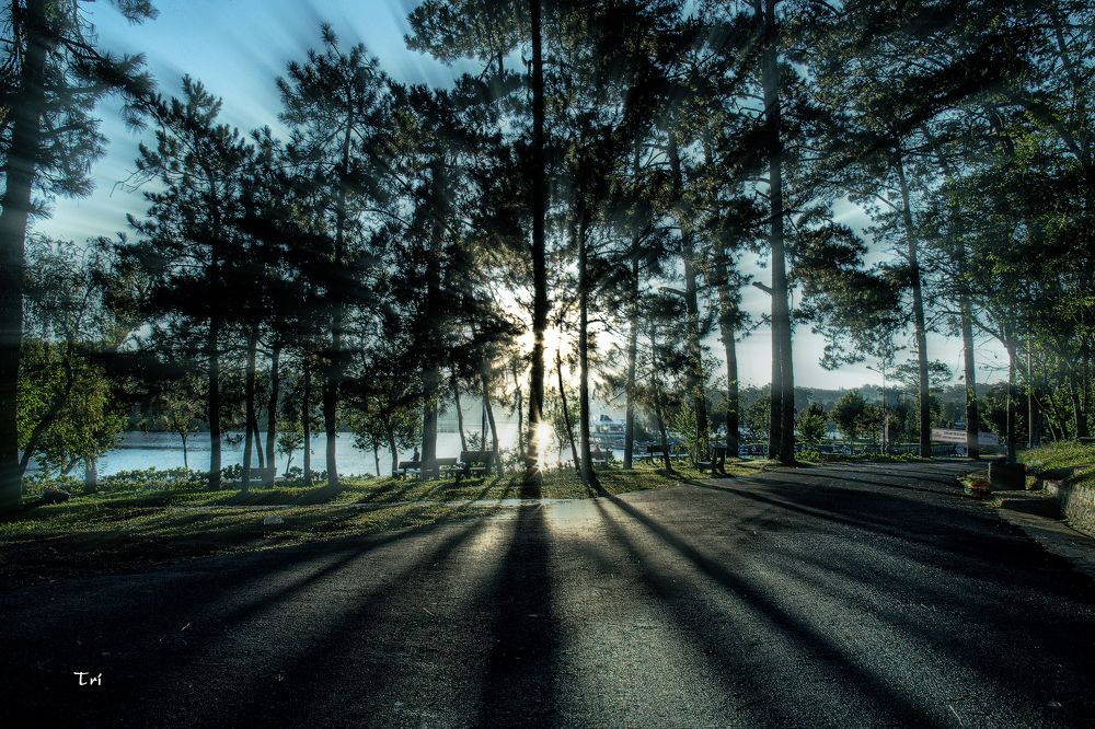 Photograph by Le Tri