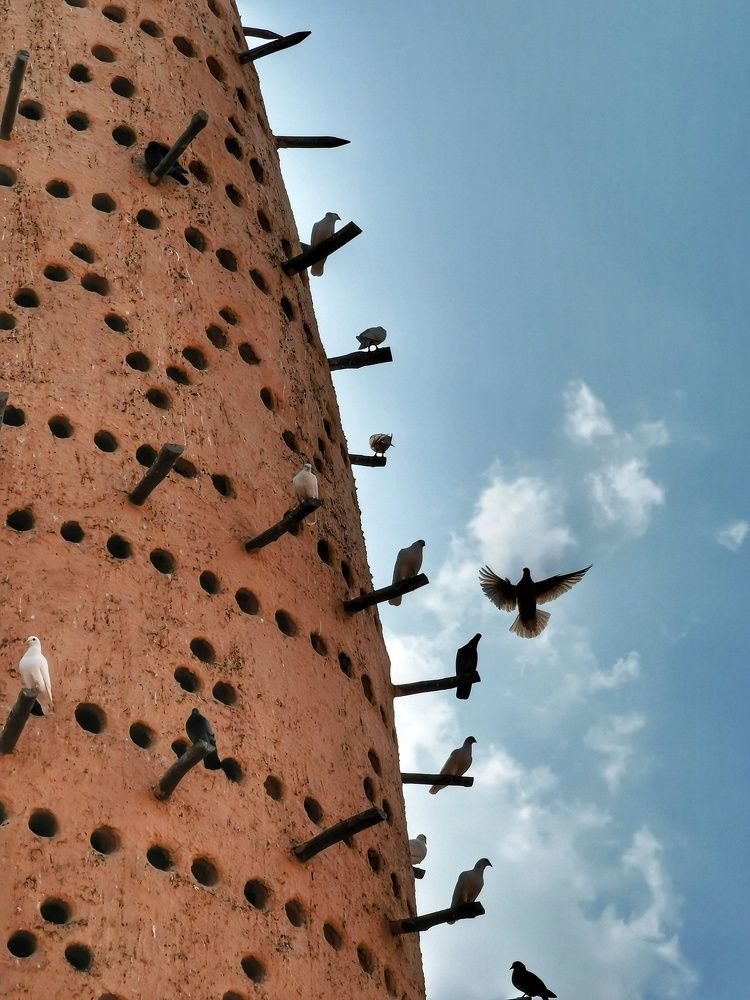 Photograph by Mohammed Saad