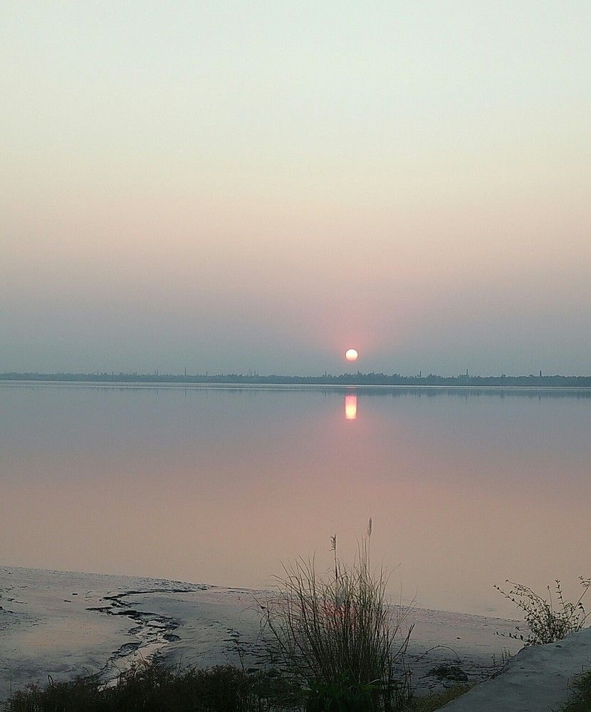 Photograph by Payel Samanta