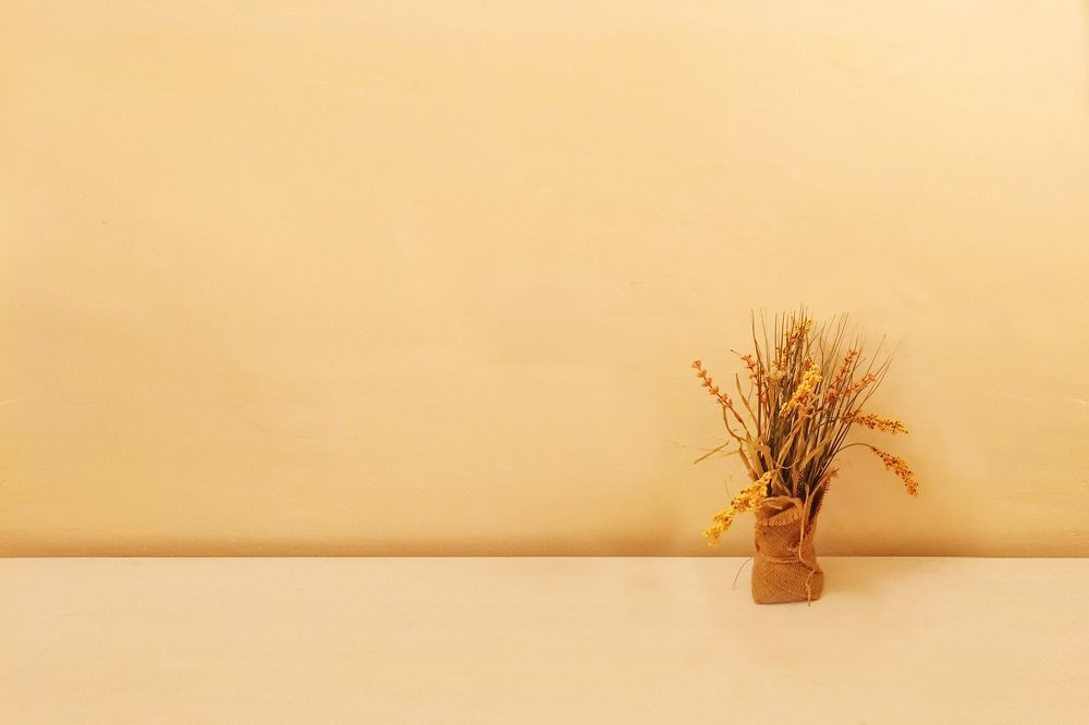 Photograph by Анна Гиндендорф