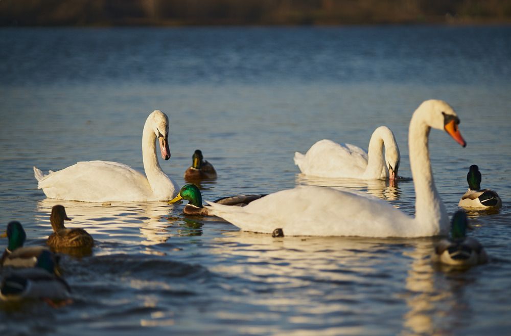 Фотография автора Вагуро Евгений