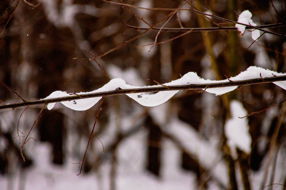 Photograph by Михаил Костыря