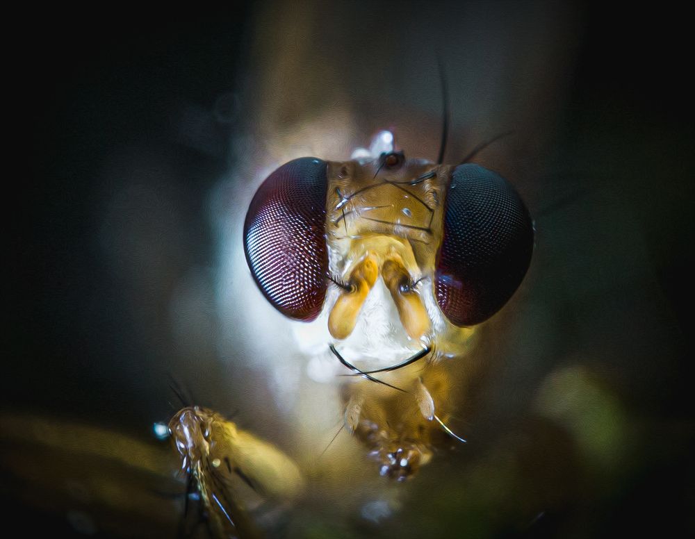 Photograph by Юлия Шматова