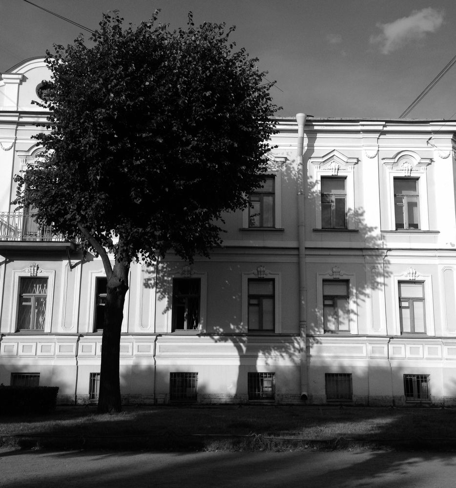 Photograph by Мария Бессмертная