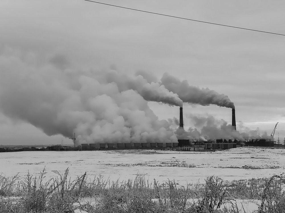 Фотография автора Максим Удалов
