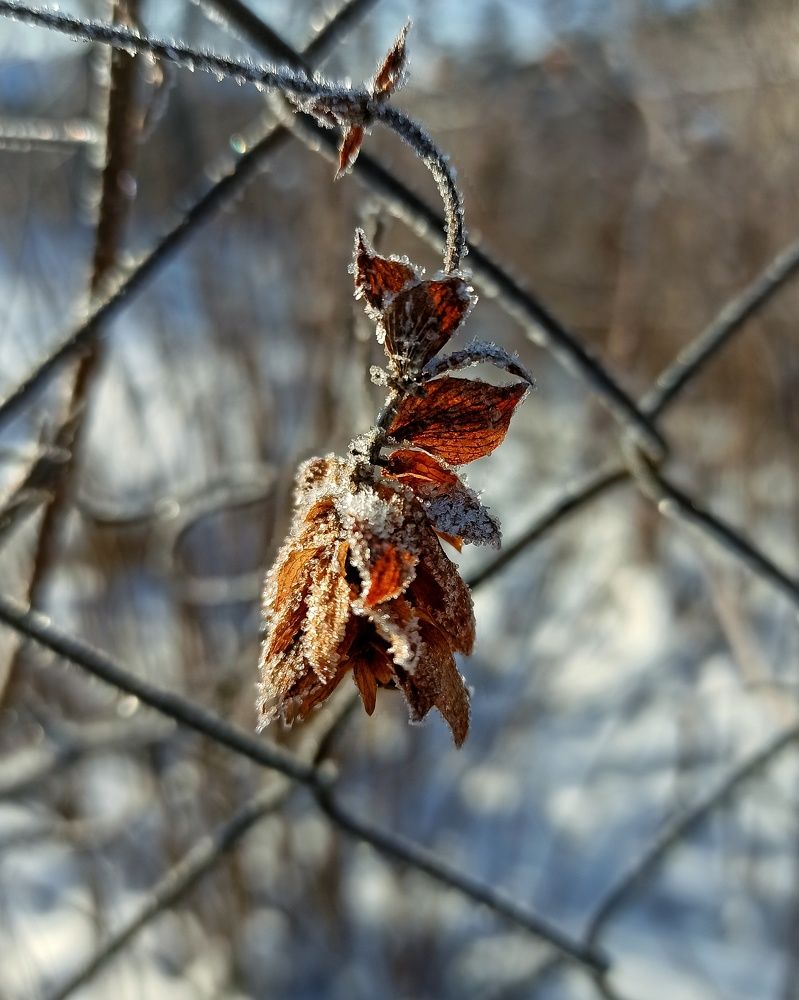 Photograph by Вадим Ковалев
