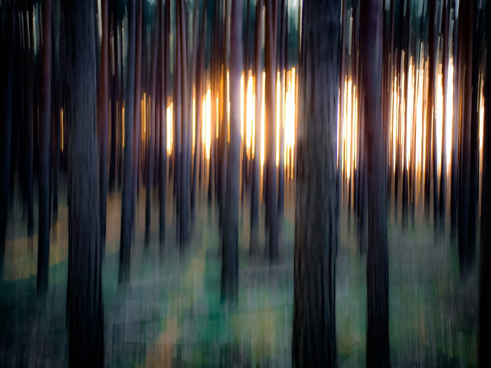 Photograph by Adam Lorenc