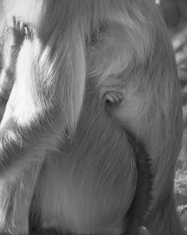 Фотография автора Dr.Hitesh Patel