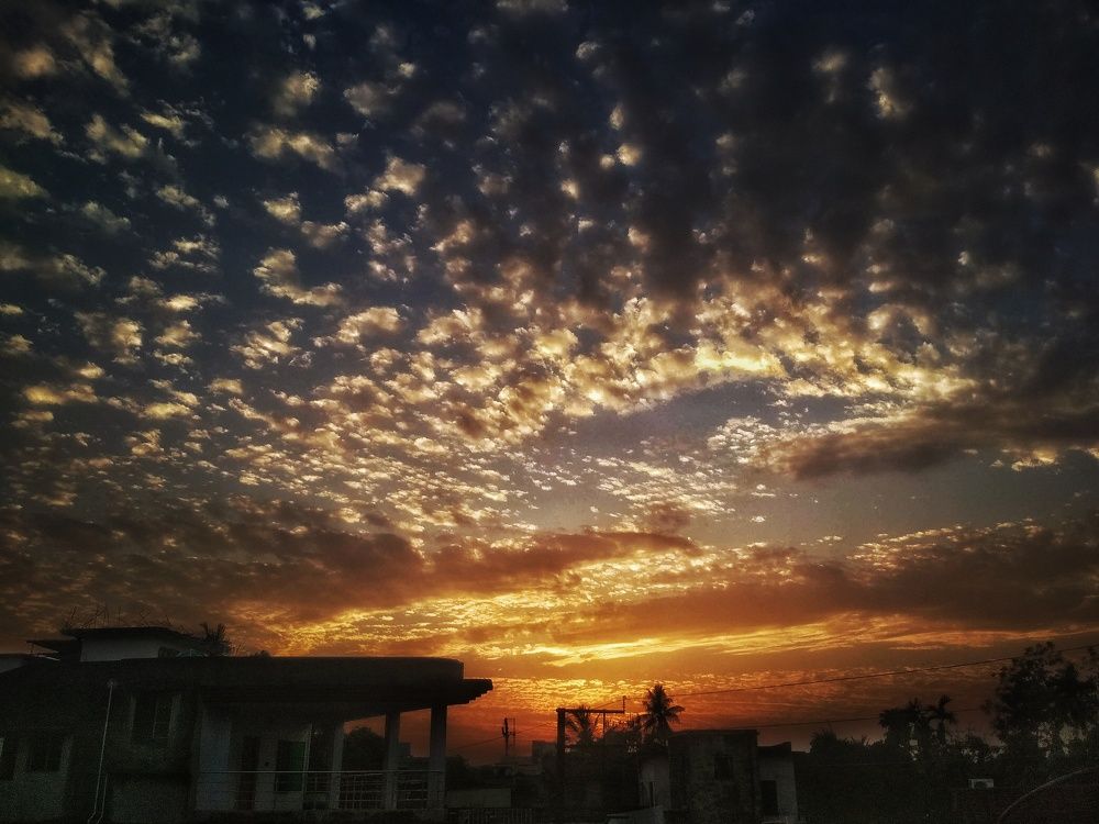 Photograph by Susobhan Biswas