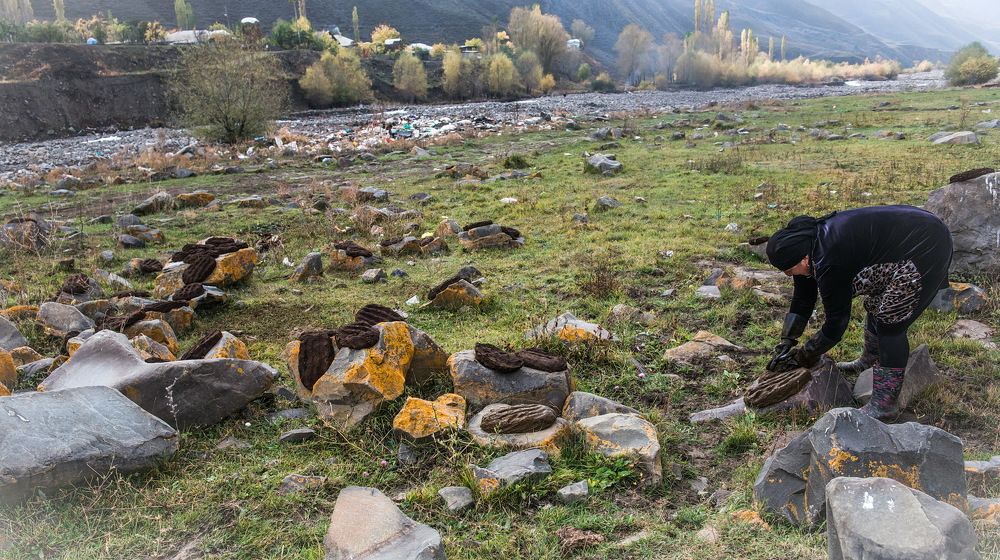 Заготовка дров.