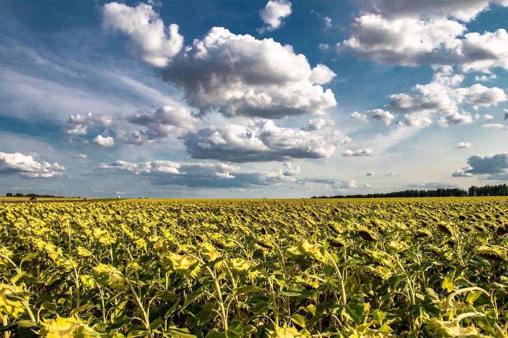 Photograph by Andrey Lesnik