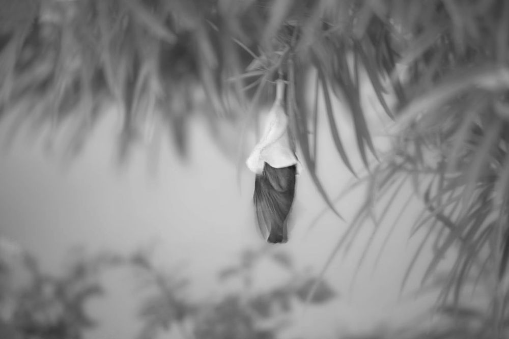 Фотография автора Dr.Hitesh Patel