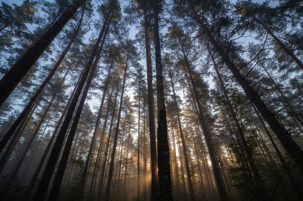 Photograph by Andrey Lesnik