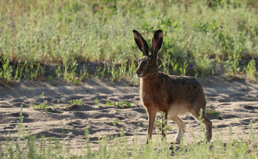 Photograph by Юлия Черкасова