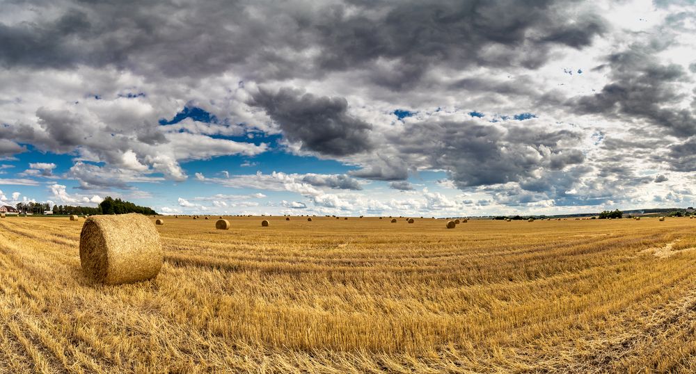 Photograph by Andrey Lesnik