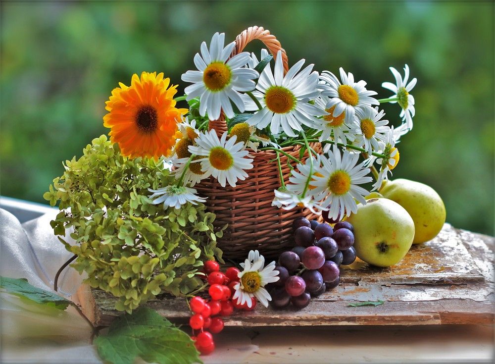 с осенними  ромашками